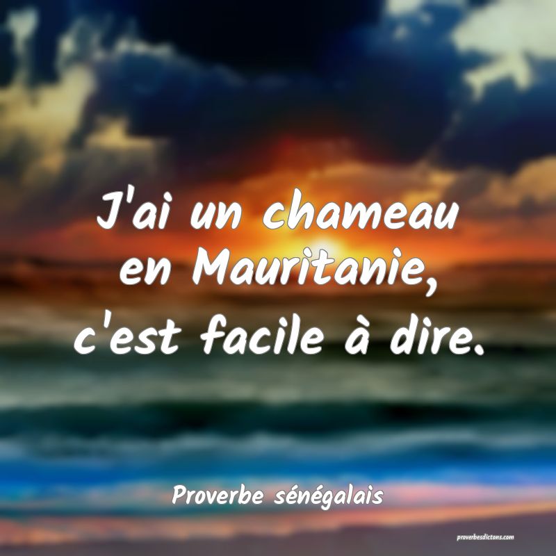  J'ai un chameau en Mauritanie, c'est facile à dire.
