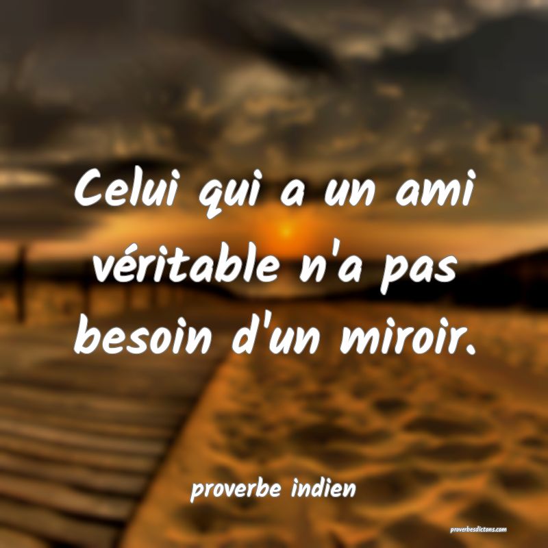  Celui qui a un ami véritable n'a pas besoin d'un miroir.