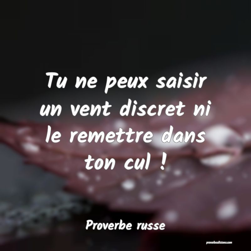  Tu ne peux saisir un vent discret ni le remettre dans ton cul !