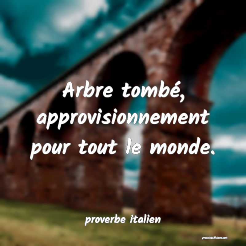  Arbre tombé, approvisionnement pour tout le monde.