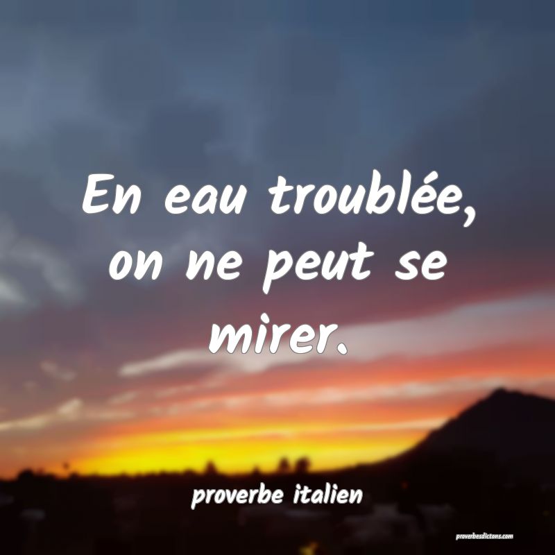  En eau troublée, on ne peut se mirer.