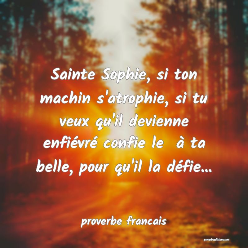 Sainte Sophie, si ton machin s'atrophie, si tu veux qu'il devienne enfiévré confie le  à ta belle, pour qu'il la défie...