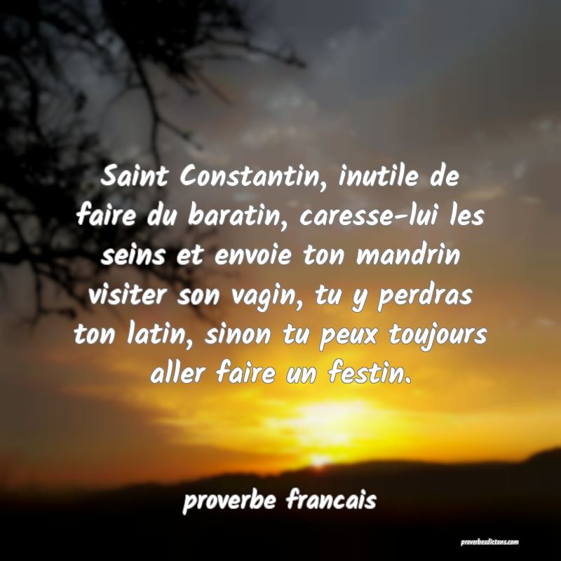  Saint Constantin, inutile de faire du baratin, caresse-lui les seins et envoie ton mandrin visiter son vagin, tu y perdras ton latin, sinon tu peux toujours aller faire un festin.