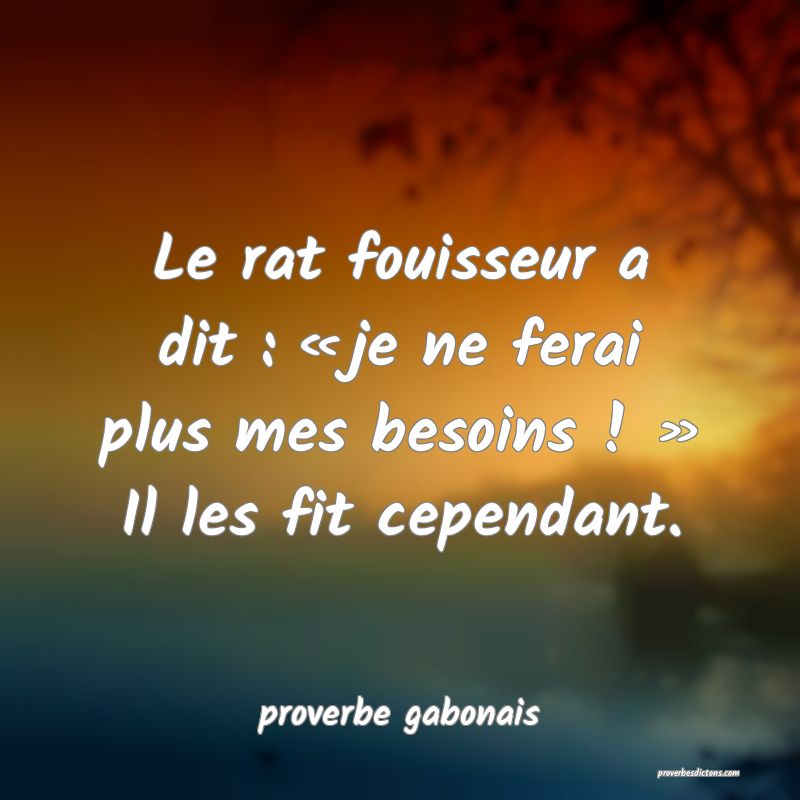  Le rat fouisseur a dit : « je ne ferai plus mes besoins ! » Il les fit cependant.
