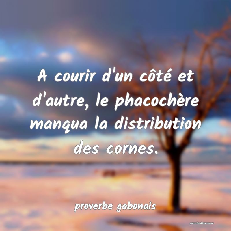  A courir d'un côté et d'autre, le phacochère manqua la distribution des cornes.