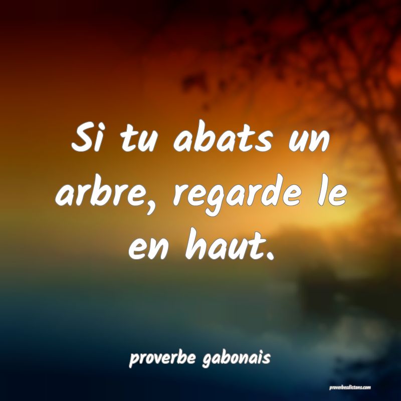  Si tu abats un arbre, regarde le en haut.