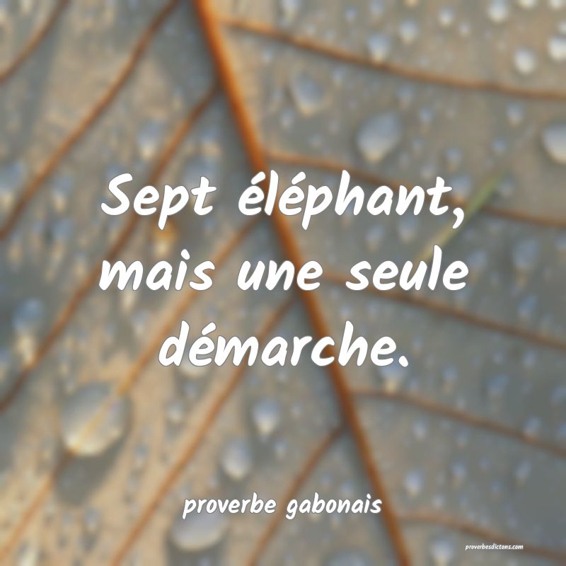  Sept éléphant, mais une seule démarche.