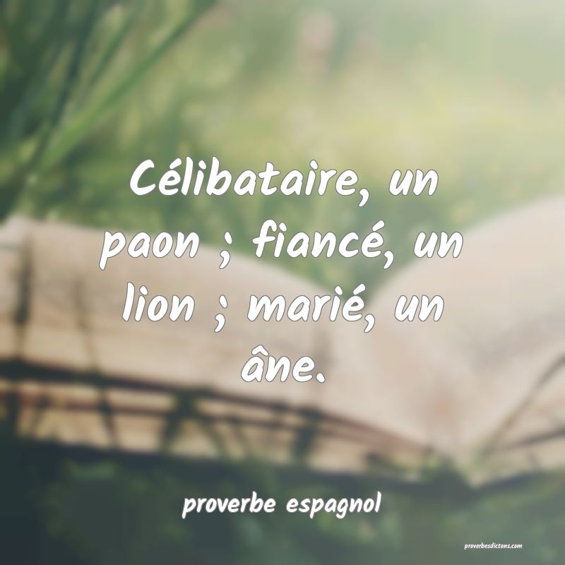  Célibataire, un paon ; fiancé, un lion ; marié, un âne.