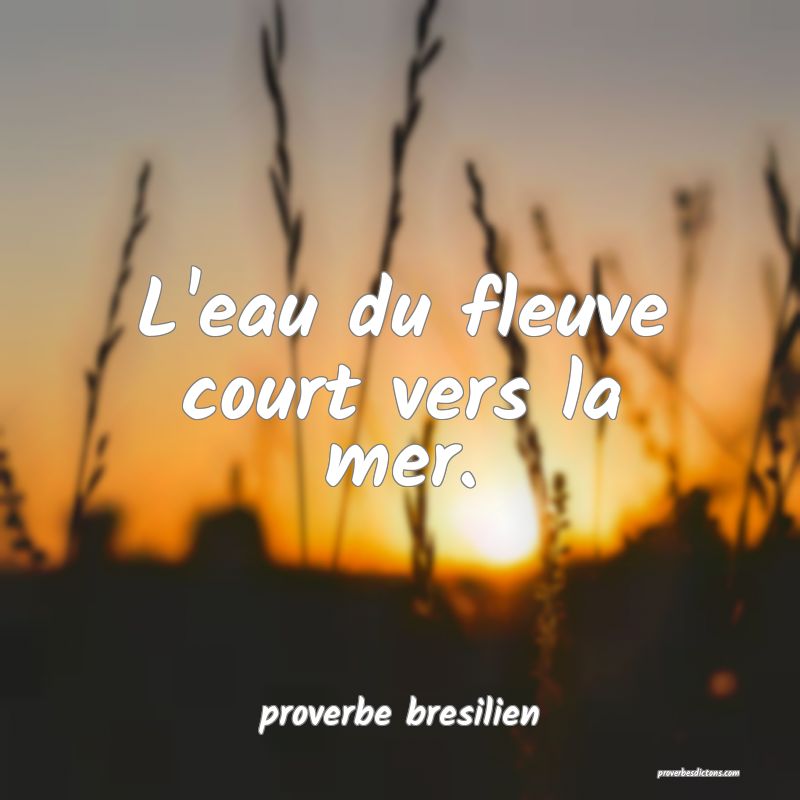  L'eau du fleuve court vers la mer.