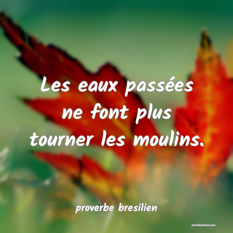  Les eaux passées ne font plus tourner les moulins.