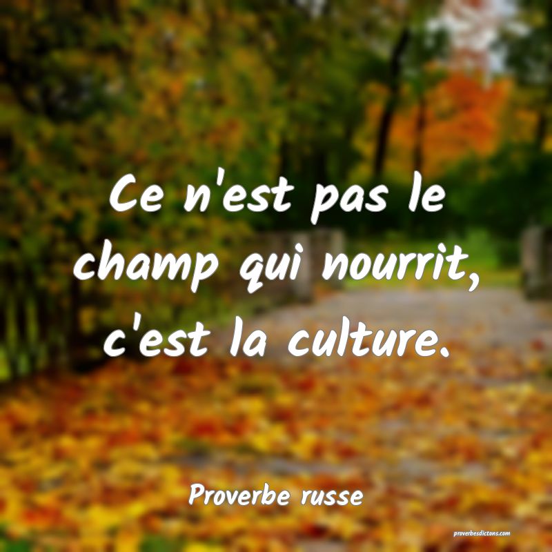  Ce n'est pas le champ qui nourrit, c'est la culture.
