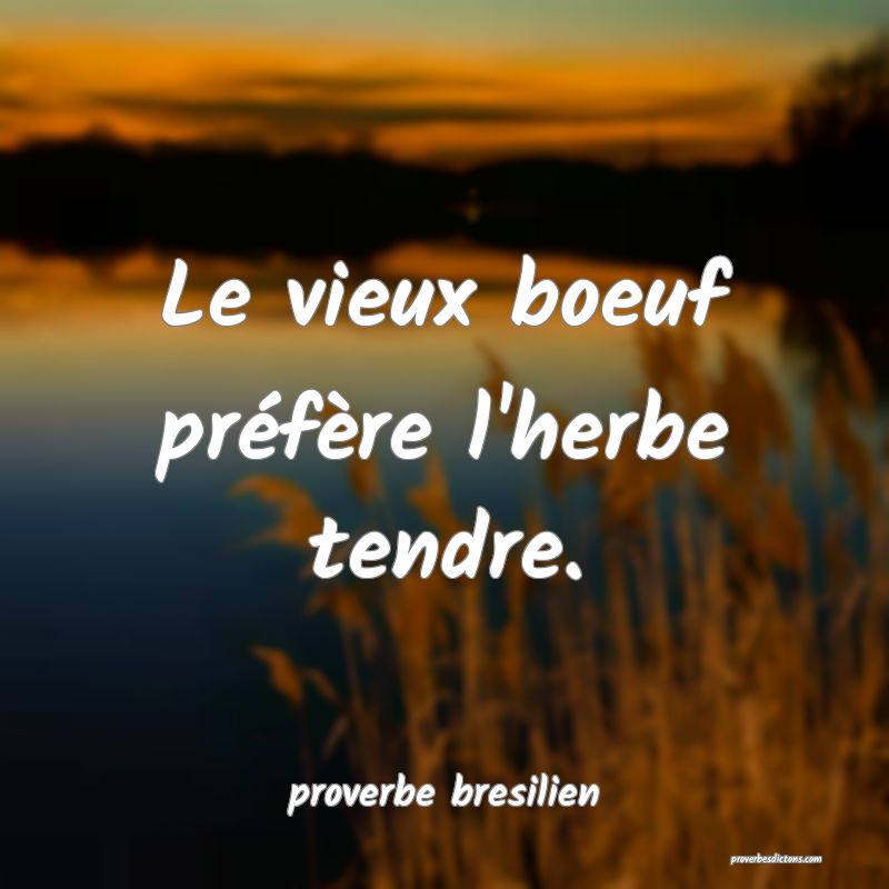  Le vieux boeuf préfère l'herbe tendre.