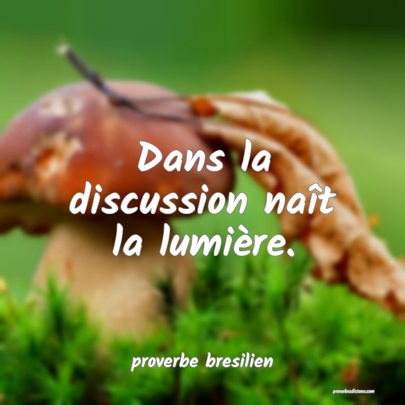  Dans la discussion naît la lumière.