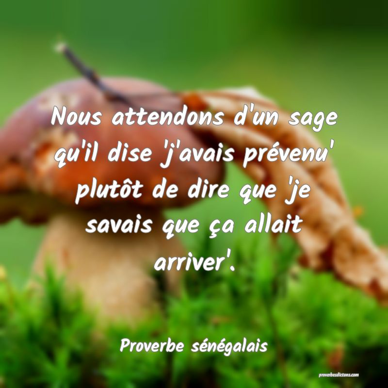 Nous attendons d'un sage qu'il dise 'j'avais prévenu' plutôt de dire que 'je savais que ça allait arriver'.