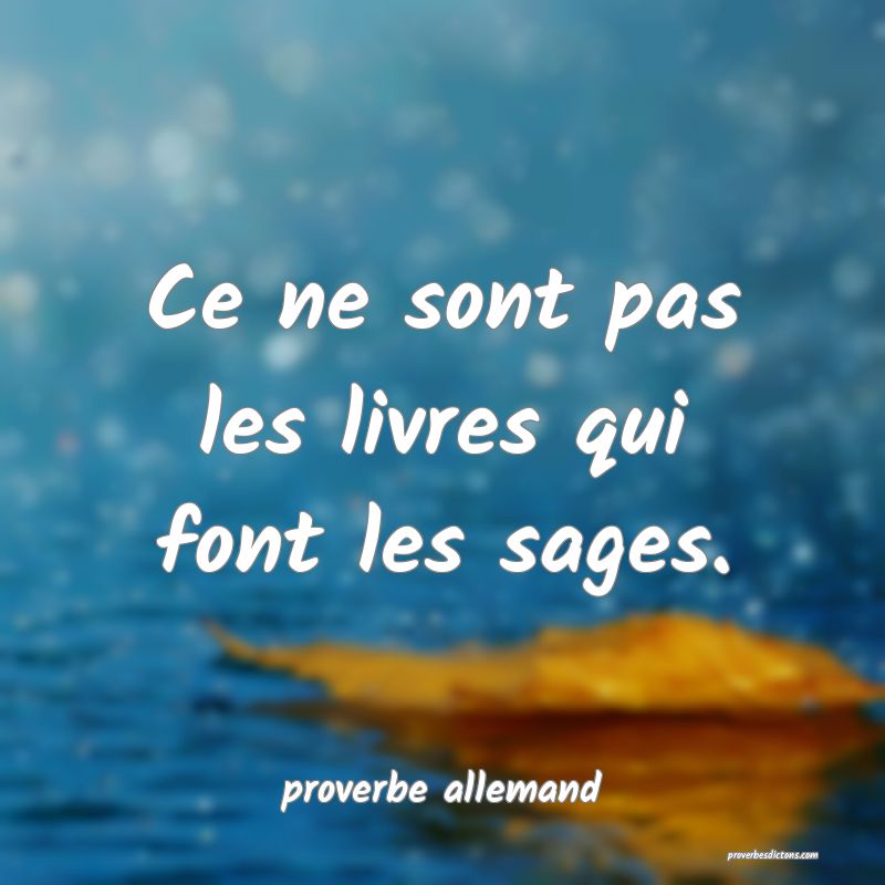  Ce ne sont pas les livres qui font les sages.