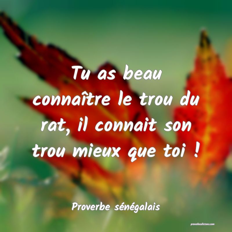  Tu as beau connaître le trou du rat, il connait son trou mieux que toi !