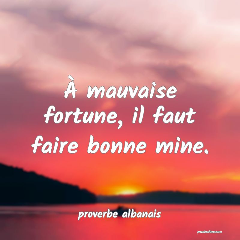  À mauvaise fortune, il faut faire bonne mine.