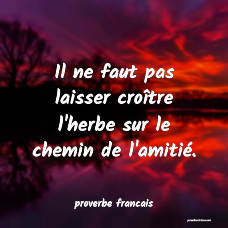 Il ne faut pas laisser croître l'herbe sur le chemin de l'amitié.