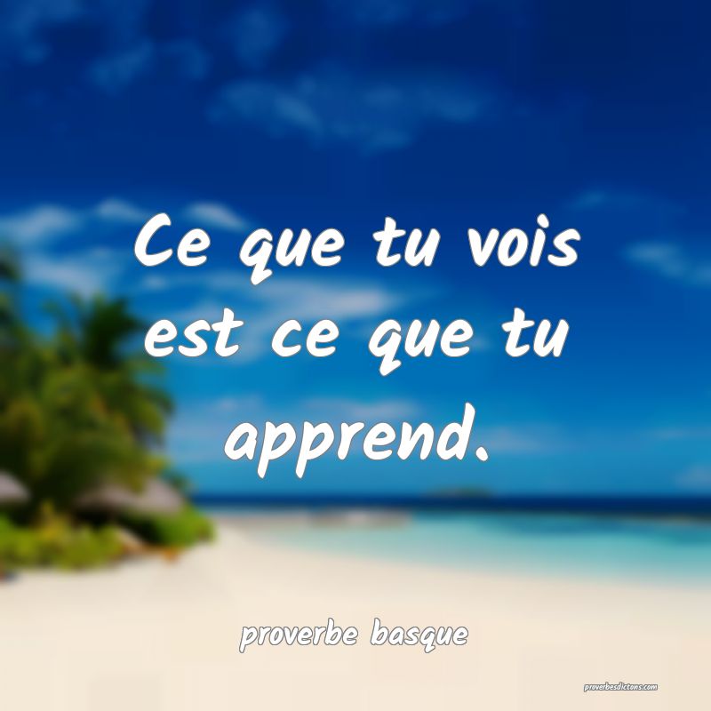  Ce que tu vois est ce que tu apprend.