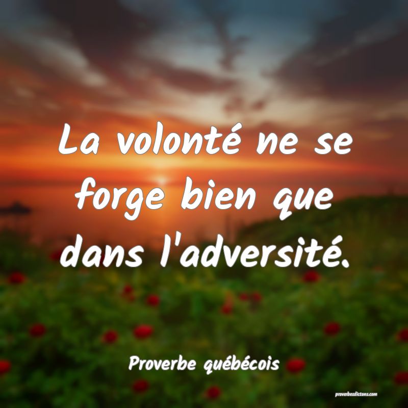  La volonté ne se forge bien que dans l'adversité.