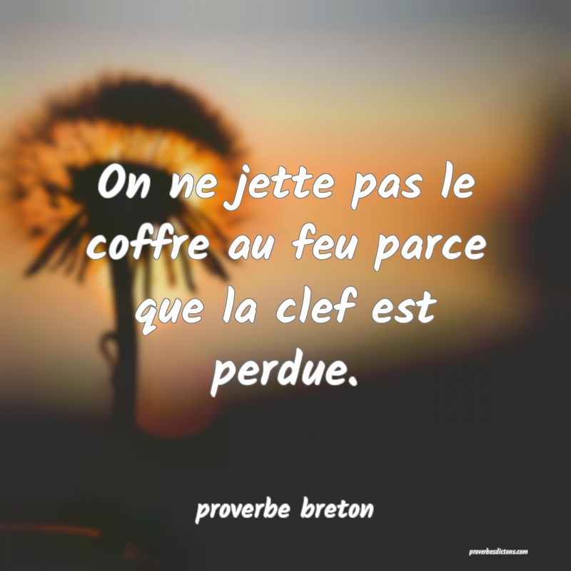  On ne jette pas le coffre au feu parce que la clef est perdue.