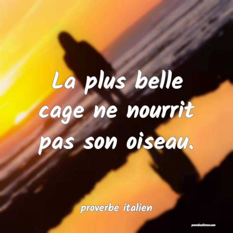  La plus belle cage ne nourrit pas son oiseau.