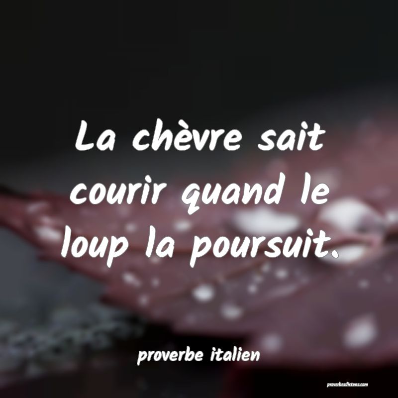  La chèvre sait courir quand le loup la poursuit.