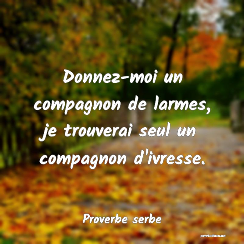  Donnez-moi un compagnon de larmes, je trouverai seul un compagnon d'ivresse.