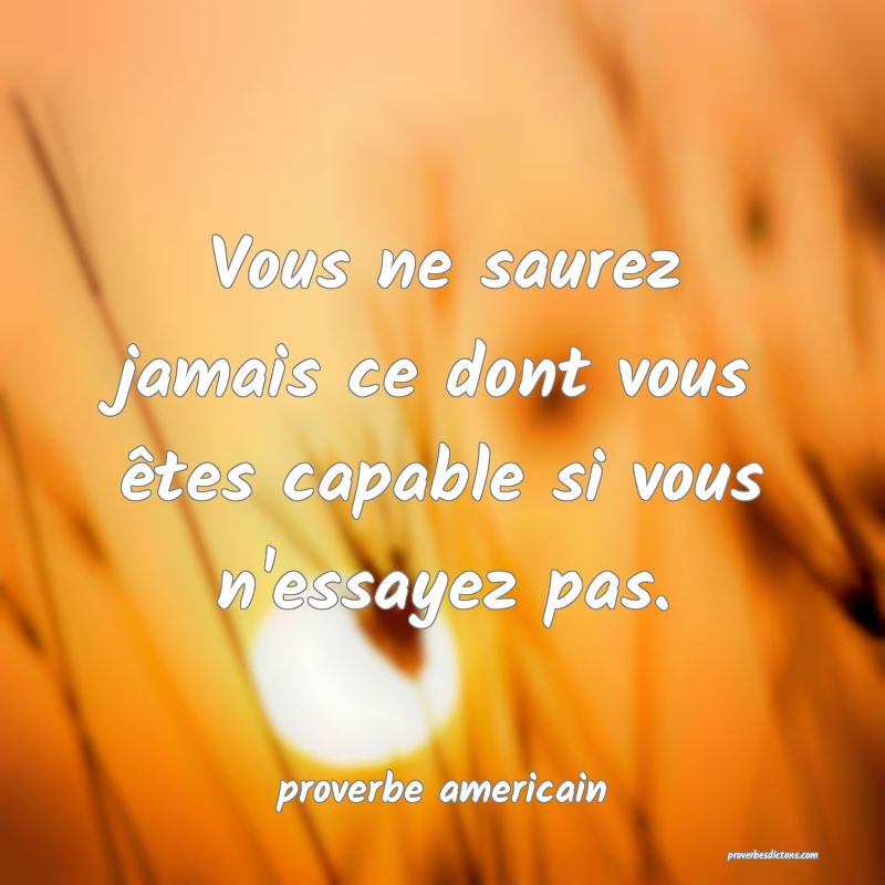  Vous ne saurez jamais ce dont vous êtes capable si vous n'essayez pas.