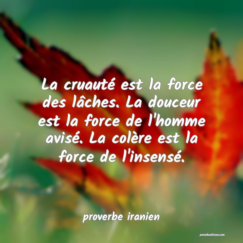  La cruauté est la force des lâches. La douceur est la force de l'homme avisé. La colère est la force de l'insensé.