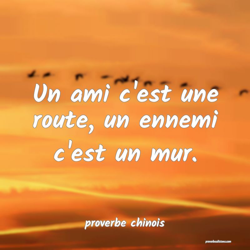  Un ami c'est une route, un ennemi c'est un mur.