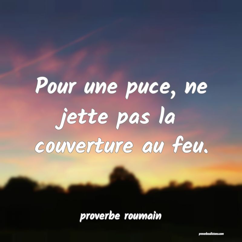  Pour une puce, ne jette pas la couverture au feu.