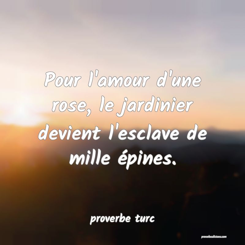  Pour l'amour d'une rose, le jardinier devient l'esclave de mille épines.