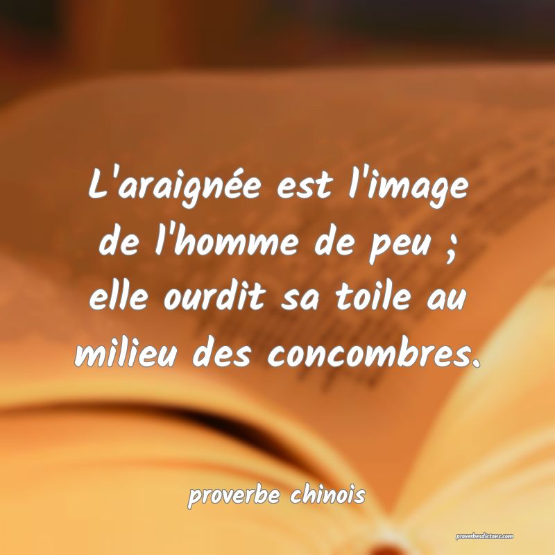  L'araignée est l'image de l'homme de peu ; elle ourdit sa toile au milieu des concombres.
