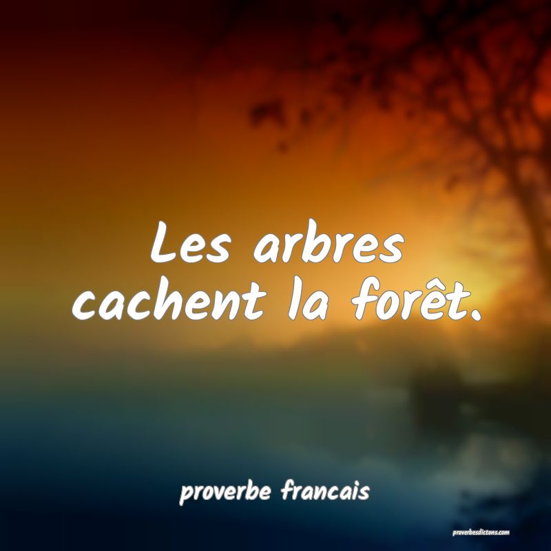  Les arbres cachent la forêt.