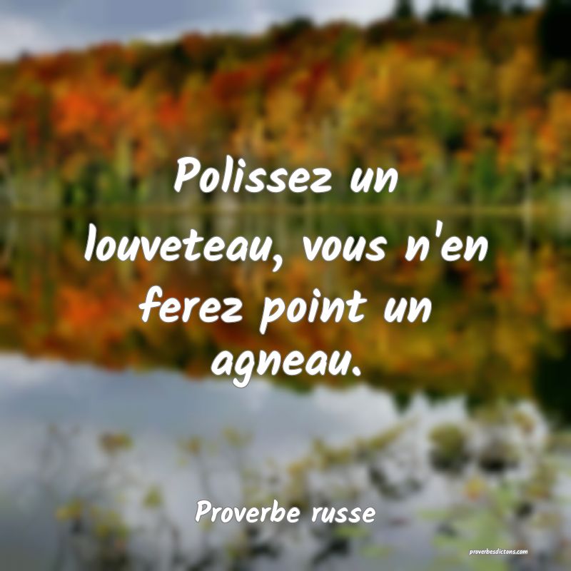  Polissez un louveteau, vous n'en ferez point un agneau.