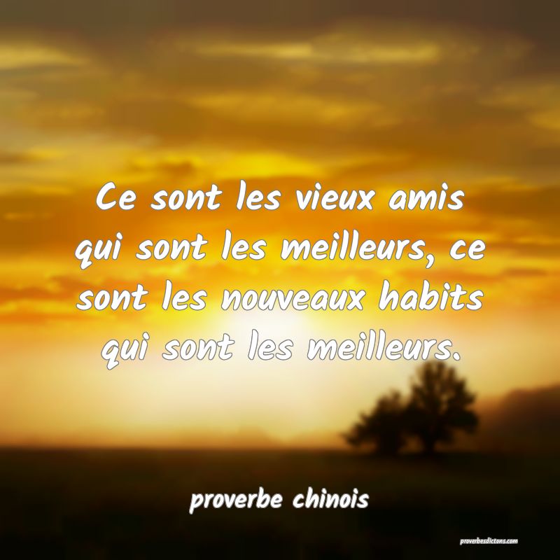  Ce sont les vieux amis qui sont les meilleurs, ce sont les nouveaux habits qui sont les meilleurs.