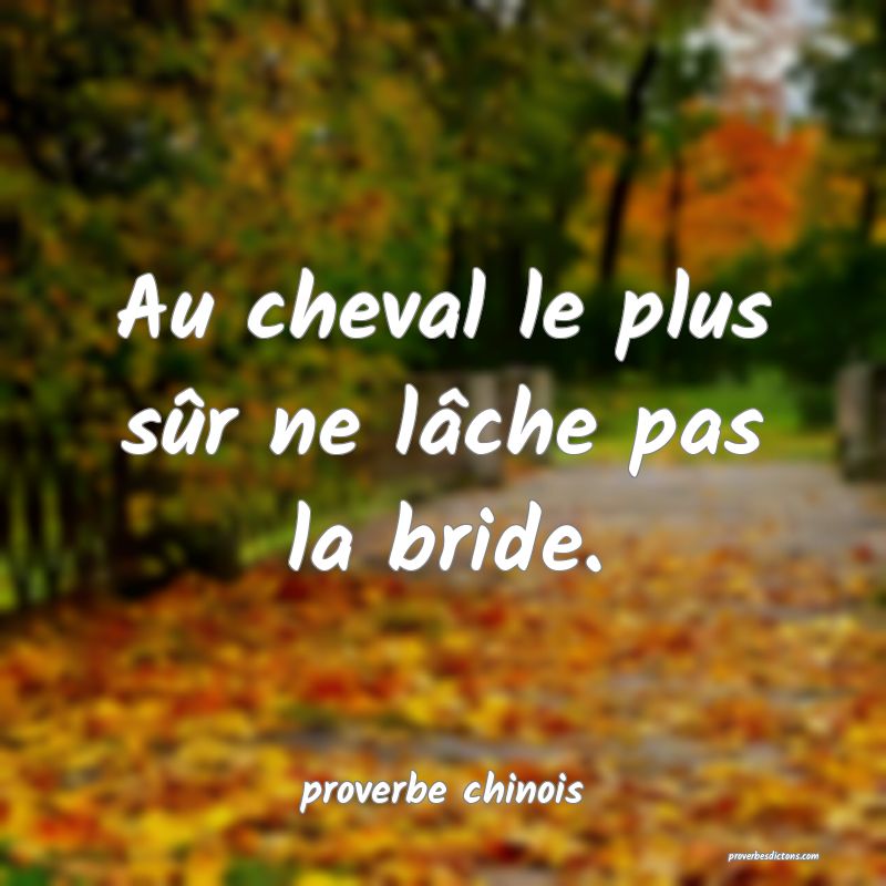  Au cheval le plus sûr ne lâche pas la bride.