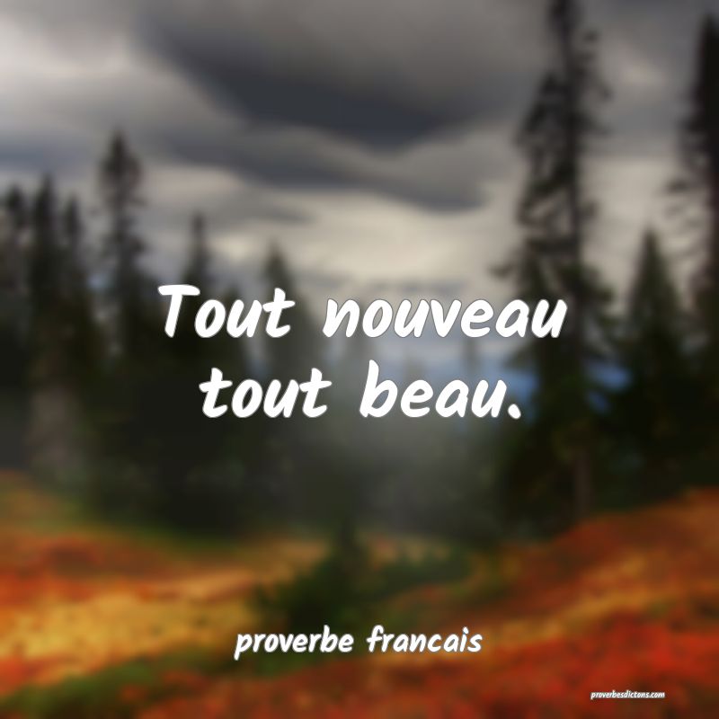  Tout nouveau tout beau.