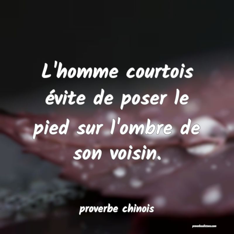  L'homme courtois évite de poser le pied sur l'ombre de son voisin.
