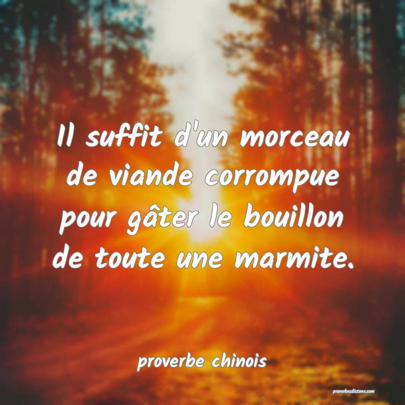  Il suffit d'un morceau de viande corrompue pour gâter le bouillon de toute une marmite.