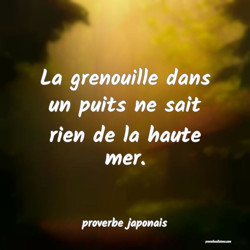  La grenouille dans un puits ne sait rien de la haute mer.
