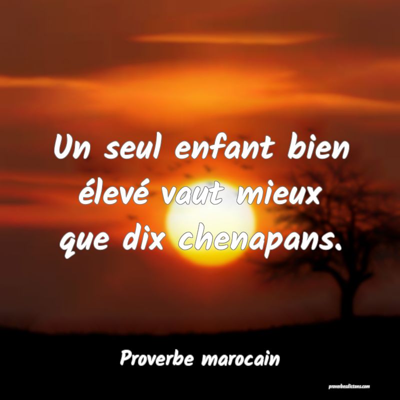  Un seul enfant bien élevé vaut mieux que dix chenapans.