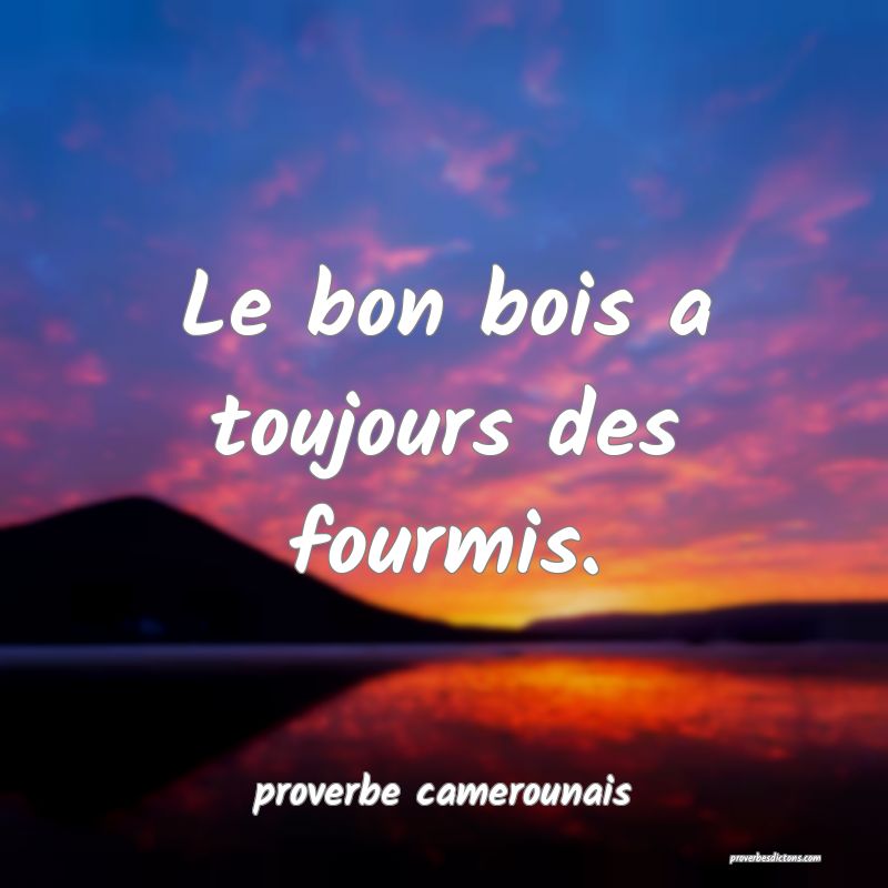  Le bon bois a toujours des fourmis.