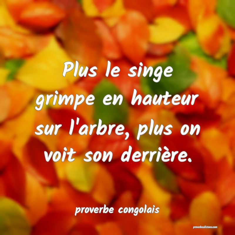  Plus le singe grimpe en hauteur sur l'arbre, plus on voit son derrière.