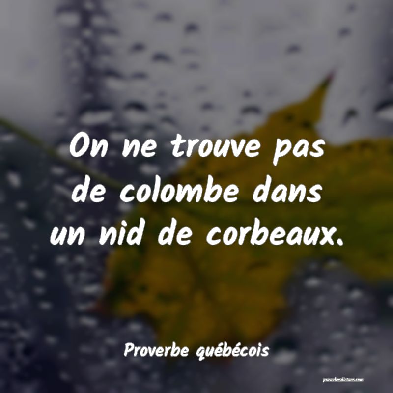  On ne trouve pas de colombe dans un nid de corbeaux.