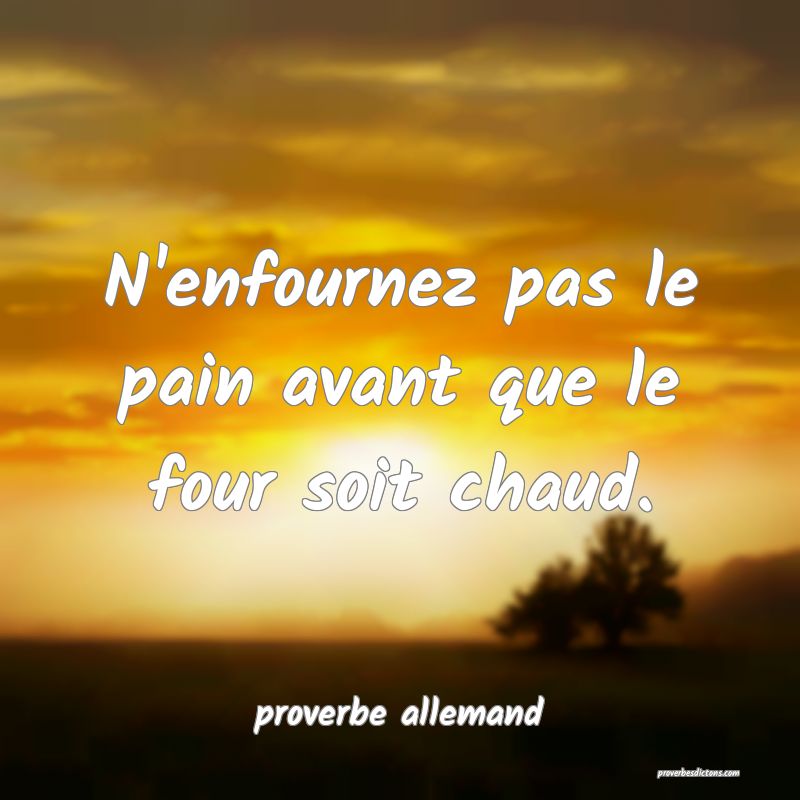  N'enfournez pas le pain avant que le four soit chaud.
