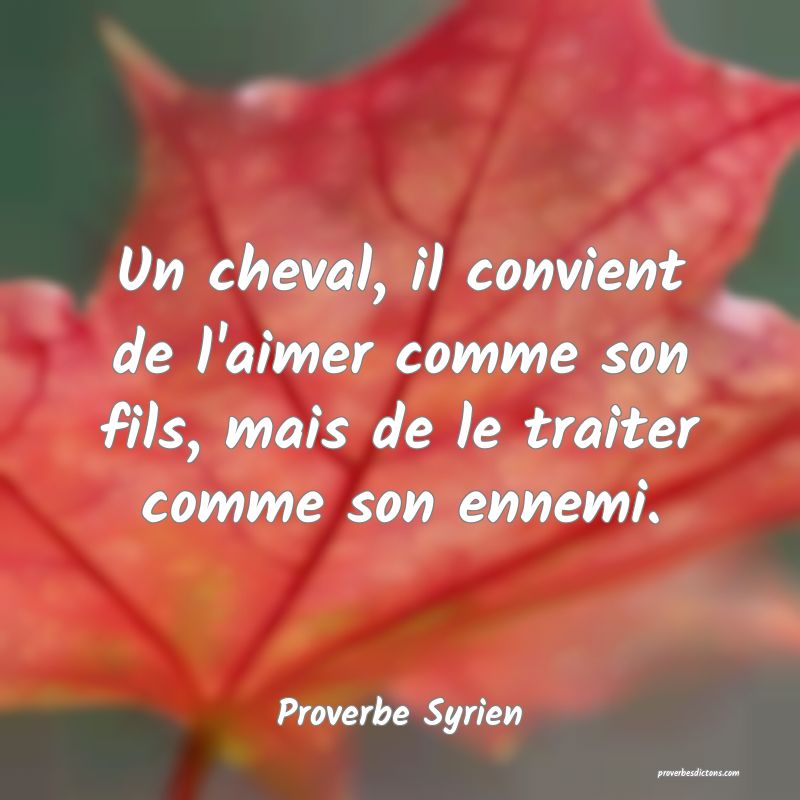  Un cheval, il convient de l'aimer comme son fils, mais de le traiter comme son ennemi.