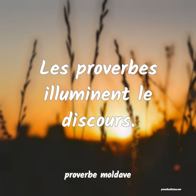  Les proverbes illuminent le discours.