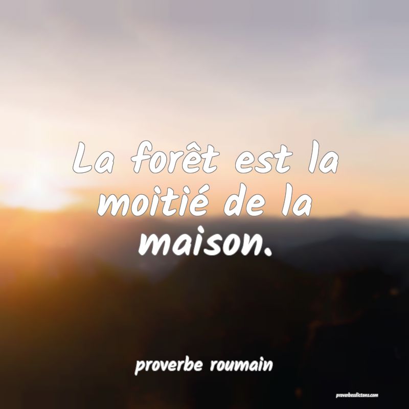  La forêt est la moitié de la maison.